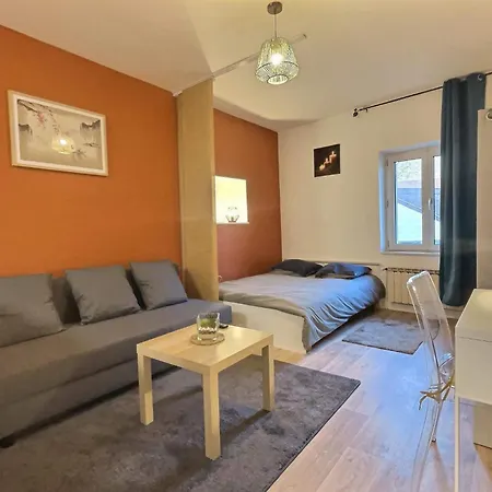 Petit Cocon Apartment Saint-Avold